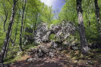 Brama Twardowskiego we wsi Złoty Potok